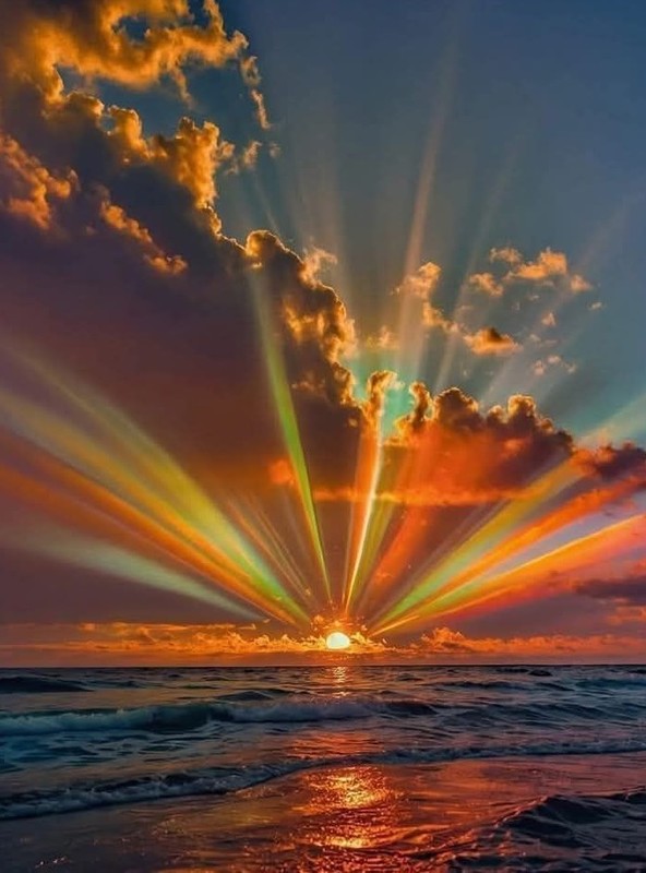 FOND POUR CREATIONS 9
