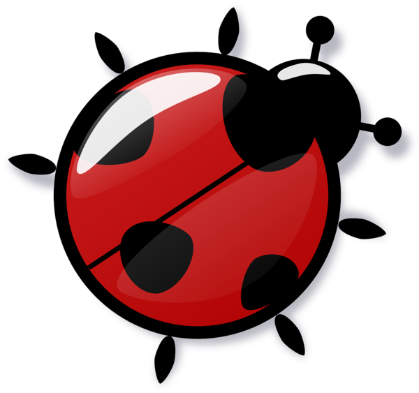 COCCINELLE