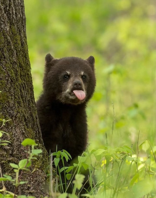 OURS 2