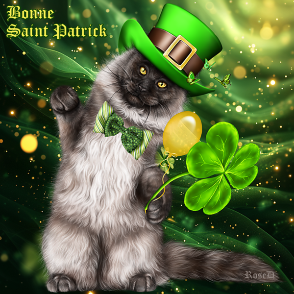 SAINT PATRICK 