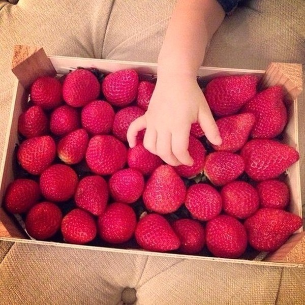 LES FRAISES