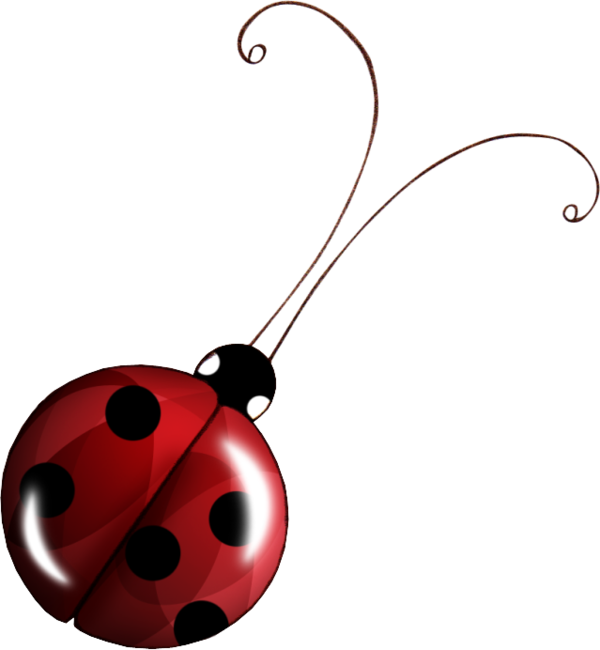 COCCINELLE