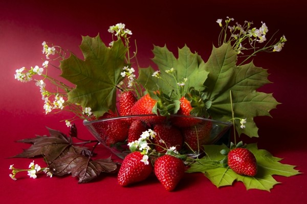 LES FRAISES