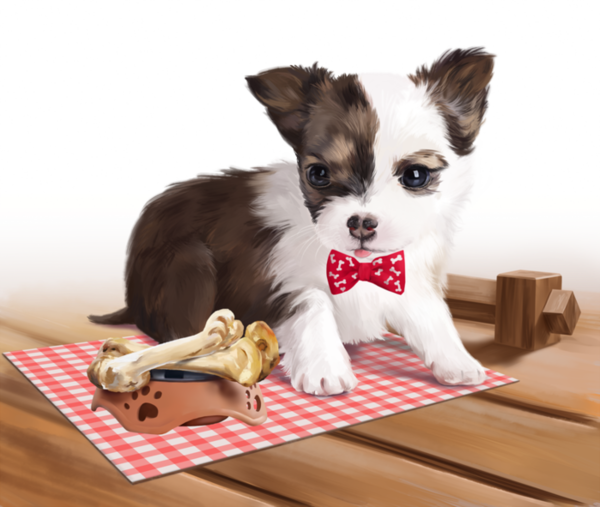 CHIEN 5