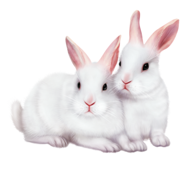 LAPINS