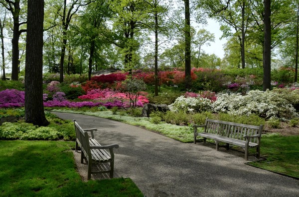 LES BANCS