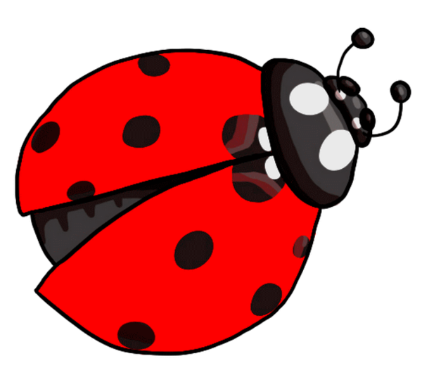 COCCINELLE