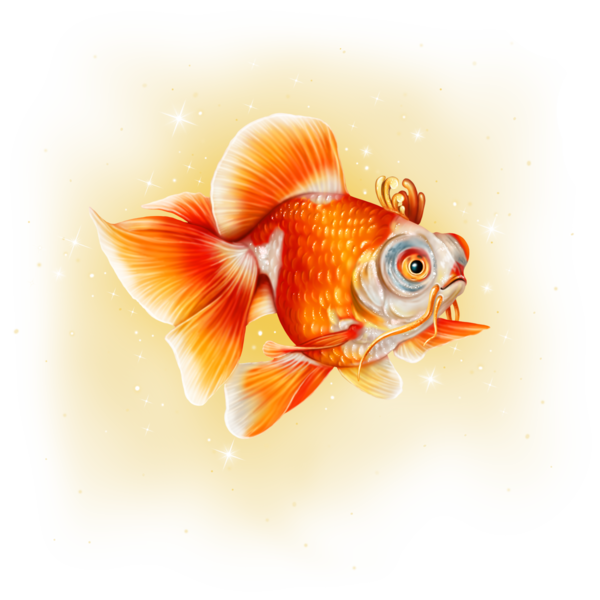 POISSON