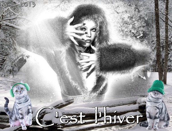 C'EST L'HIVER