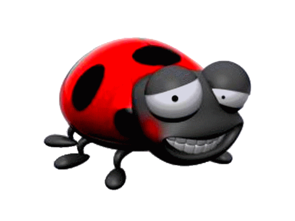 COCCINELLE