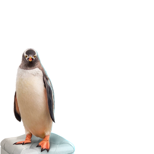 PINGOUIN