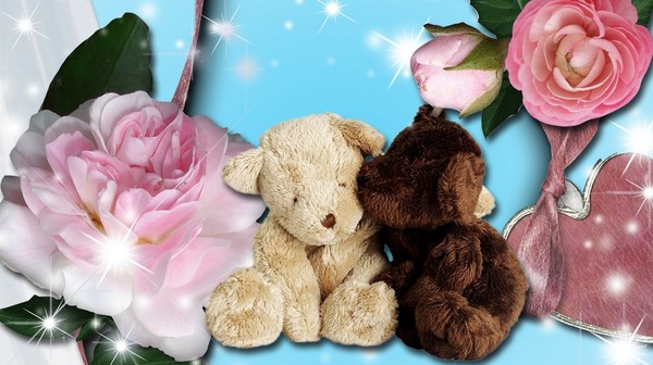 LES OURS EN PELUCHE