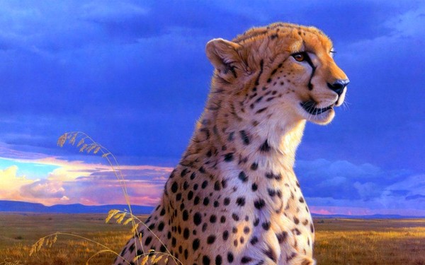 GUEPARD