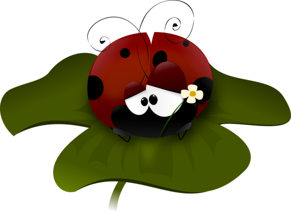 COCCINELLE 2