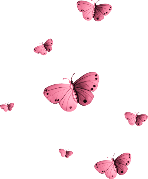 PAPILLONS