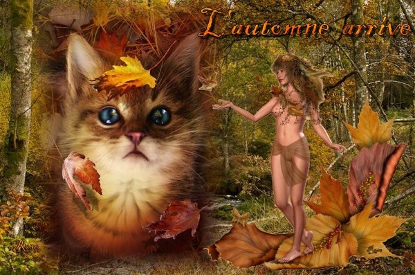 L'AUTOMNE ARRIVE...