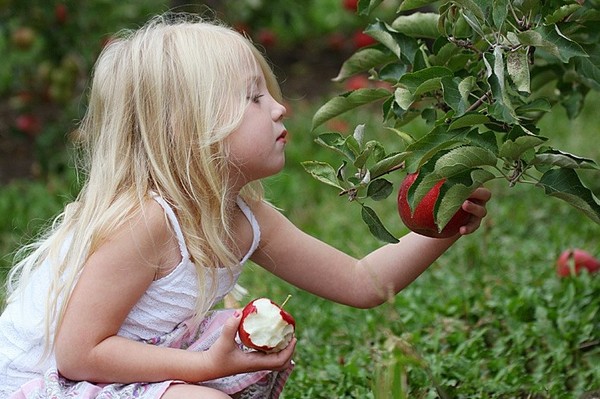 LA POMME