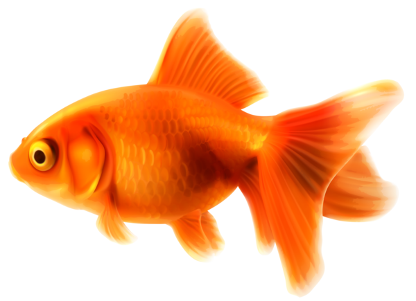 POISSON