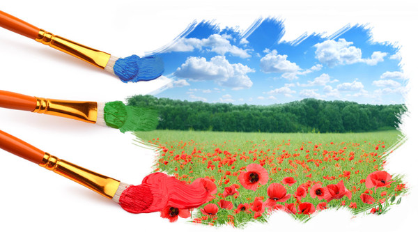 COQUELICOTS