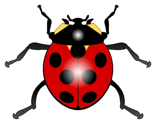 COCCINELLE