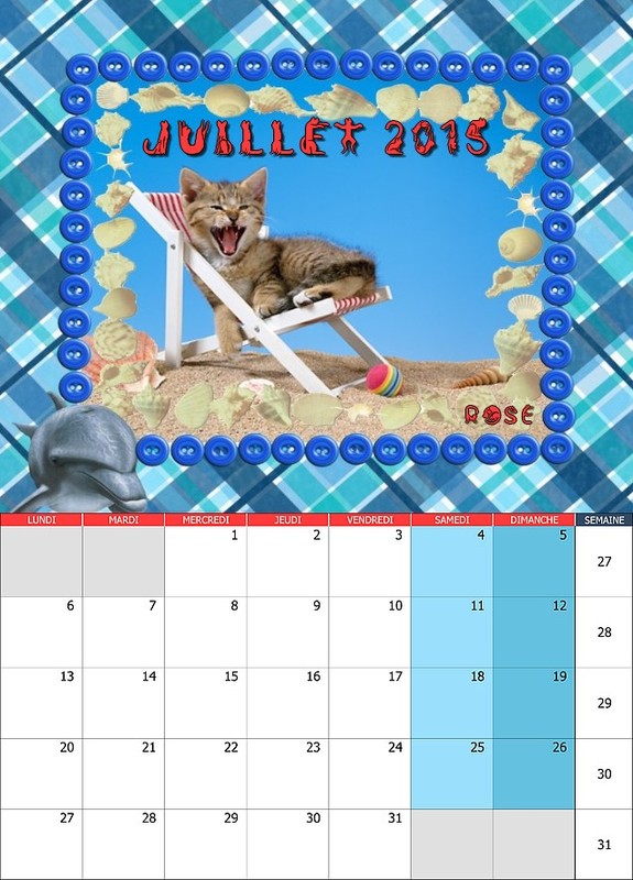 CALENDRIER JUILLET 2015