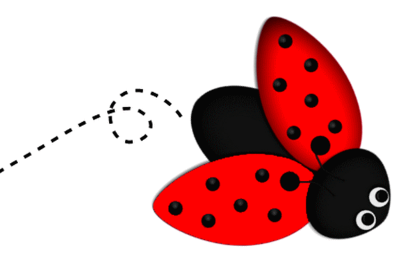 COCCINELLE