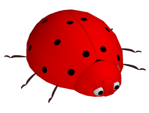 COCCINELLE