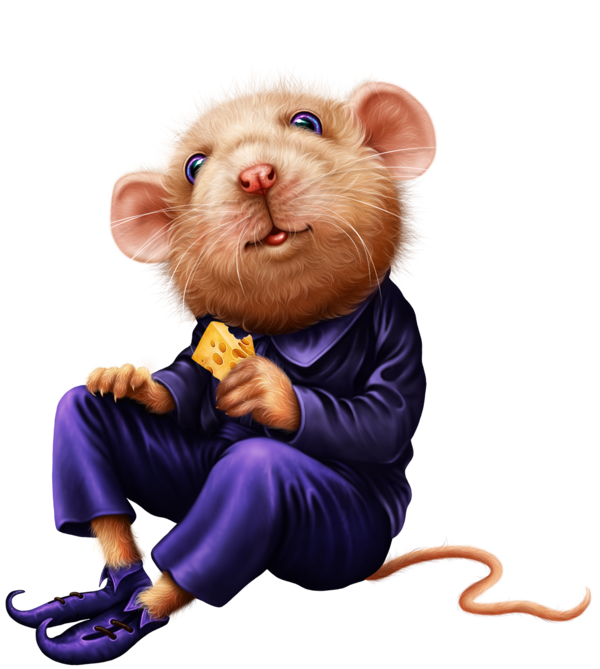 SOURIS RAT HAMSTER... 2