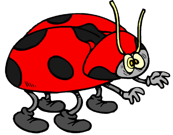 COCCINELLE