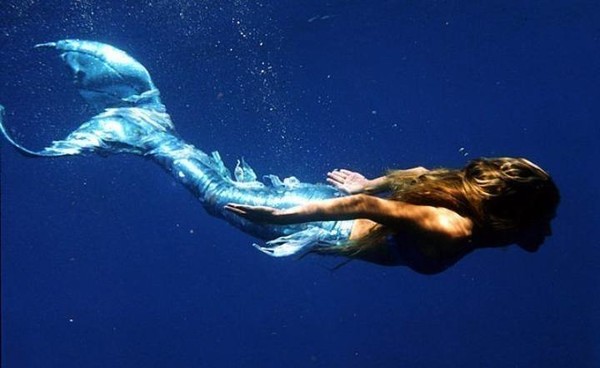 SIRENE 2