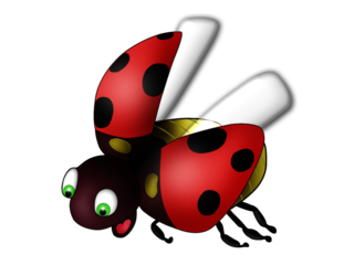 COCCINELLE 2