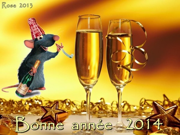 BONNE ANNEE 2014