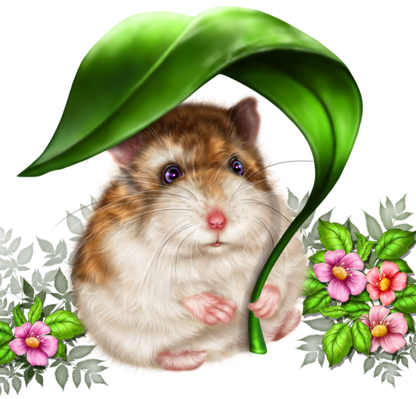 SOURIS RAT HAMSTER... 2