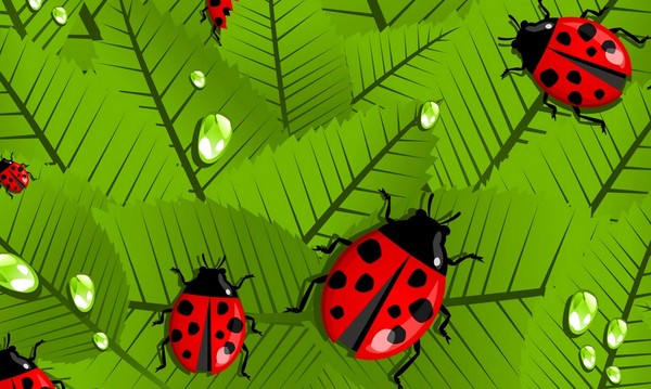 COCCINELLES