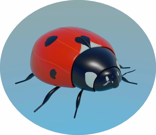 COCCINELLE