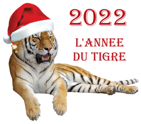 TUBE BONNE ANNEE 2022