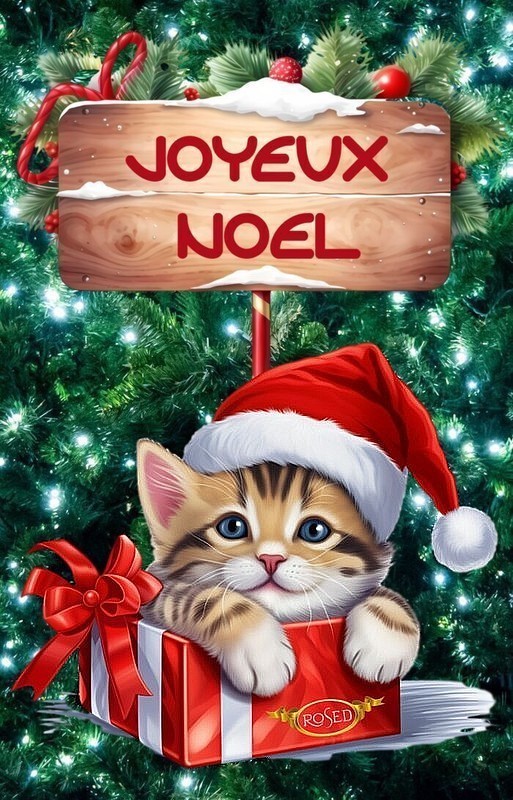 NOEL 3