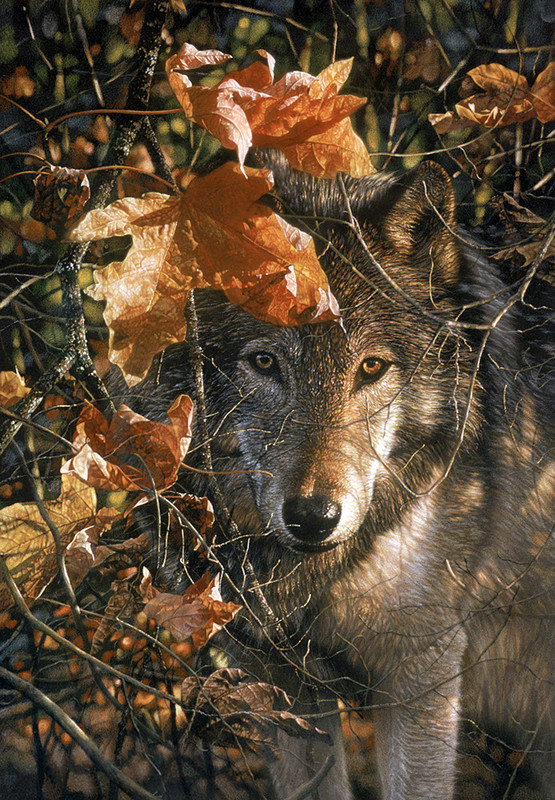 LOUP