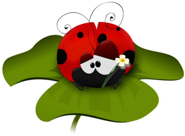 COCCINELLE