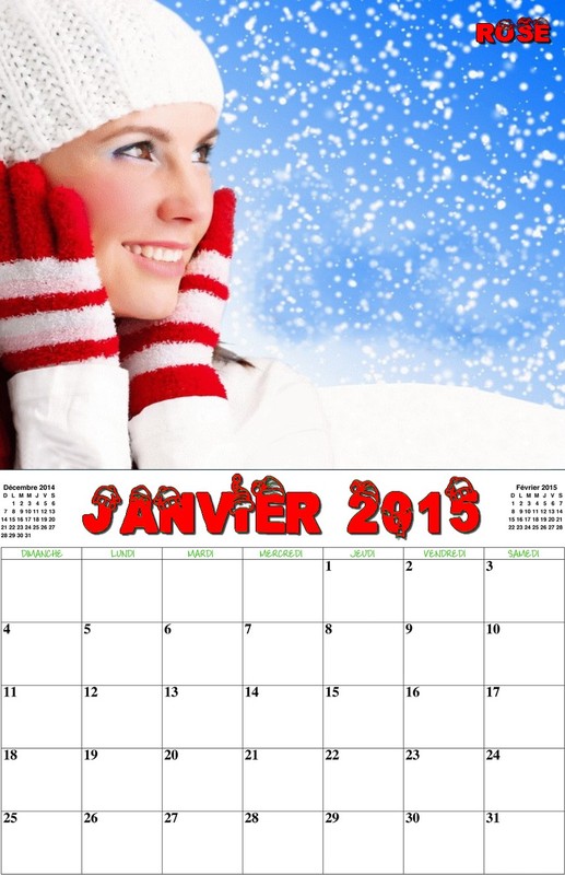 CALENDRIER JANVIER 2O15