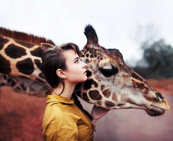 GIRAFE