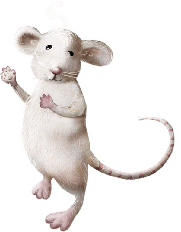 RAT SOURIS... 2