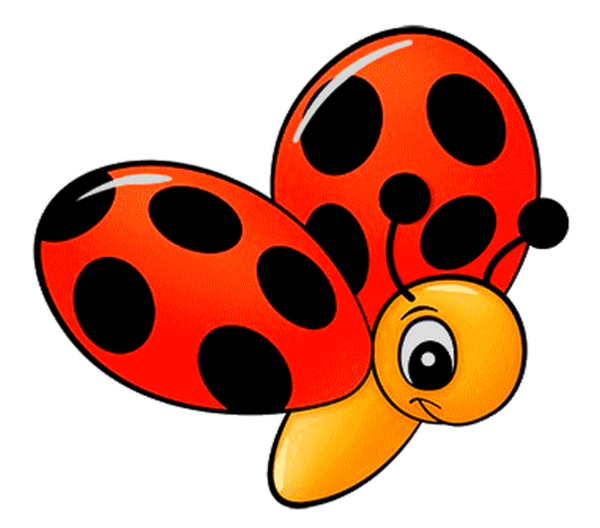 COCCINELLE