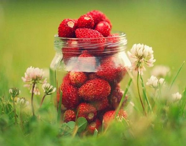 LES FRAISES