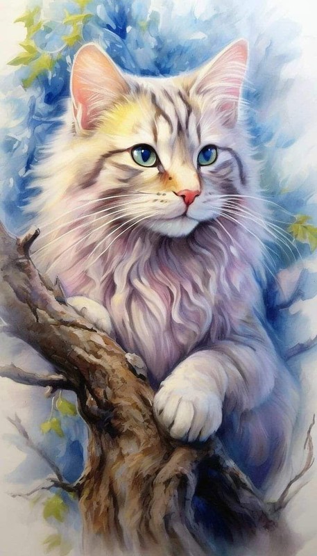 CHAT 7