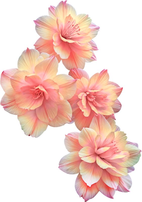 FLEURS 5