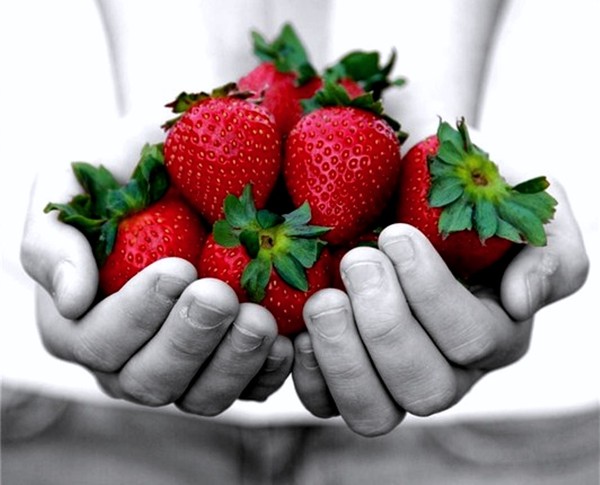 LES FRAISES