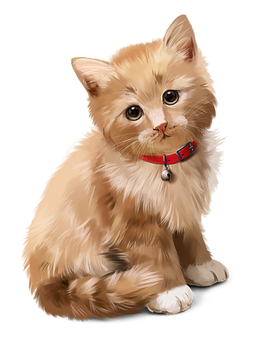 CHAT 7