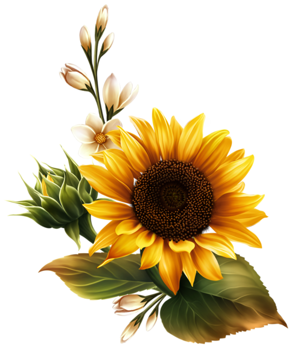 FLEURS 5