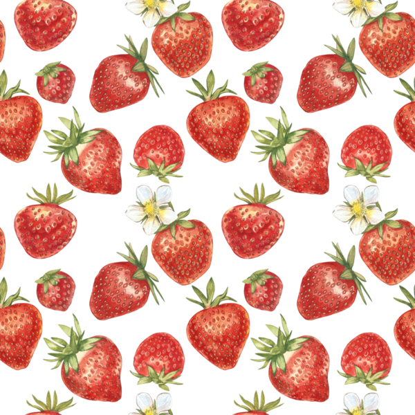 LES FRAISES 2